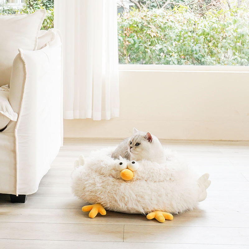 The Ultimate Guide to Selecting the Best Pet Bed