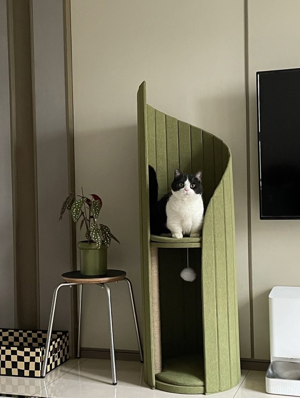 Discover the top 10 benefits of owning a cat tree