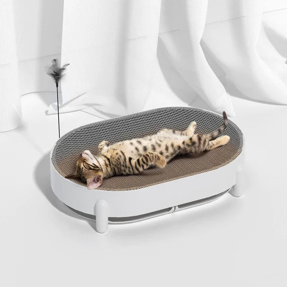 The Essential Guide to Selecting the Ideal Cat Scratcher for Your Pet: Maximize Comfort and Durability