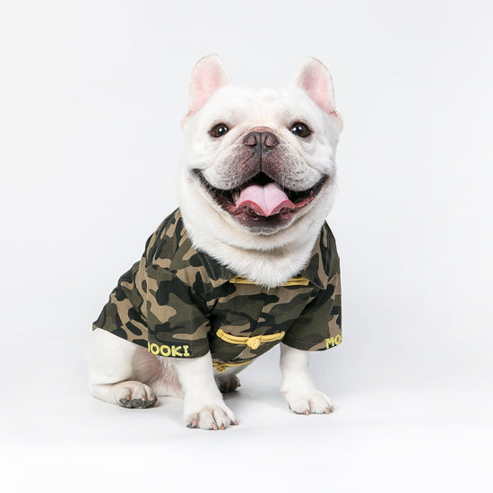 Pet Camouflage doll Tang costume