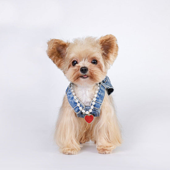 Pet Spice girl vintage necklace