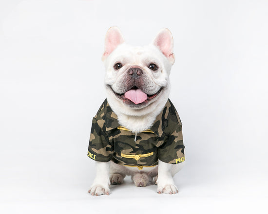 Pet Camouflage doll Tang costume