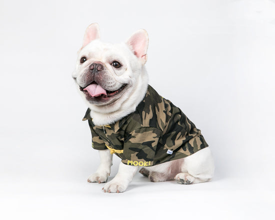 Pet Camouflage doll Tang costume