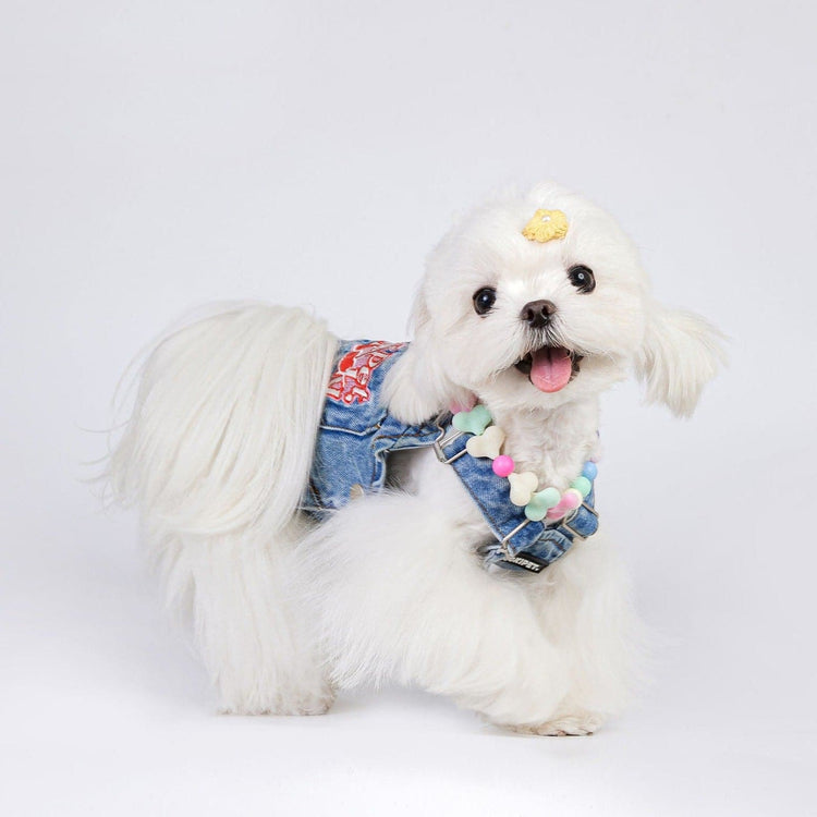 Pet Rainbow candy necklace