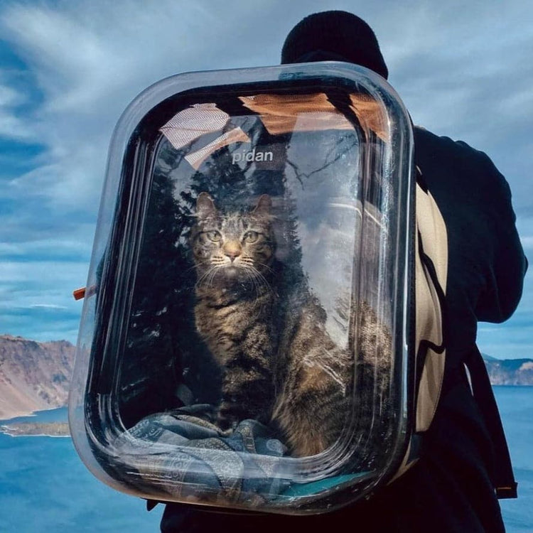 Innovative Travel Window Pet Backpack Secure Comfortable