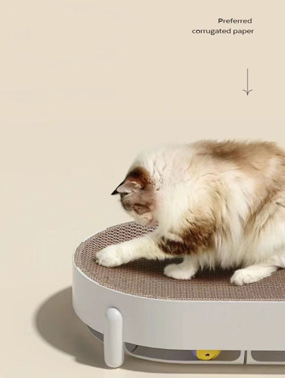 Cat Scratching Board