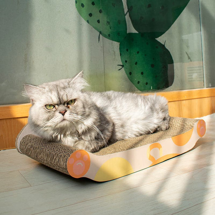 Cat Scratching Board