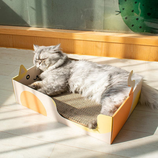 Cat Scratching Board