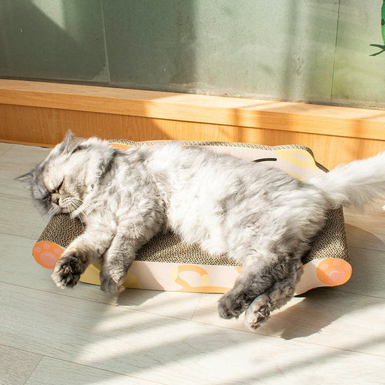 Cat Scratching Board