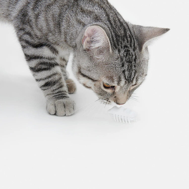 Electronic Cat Teasing Toy 