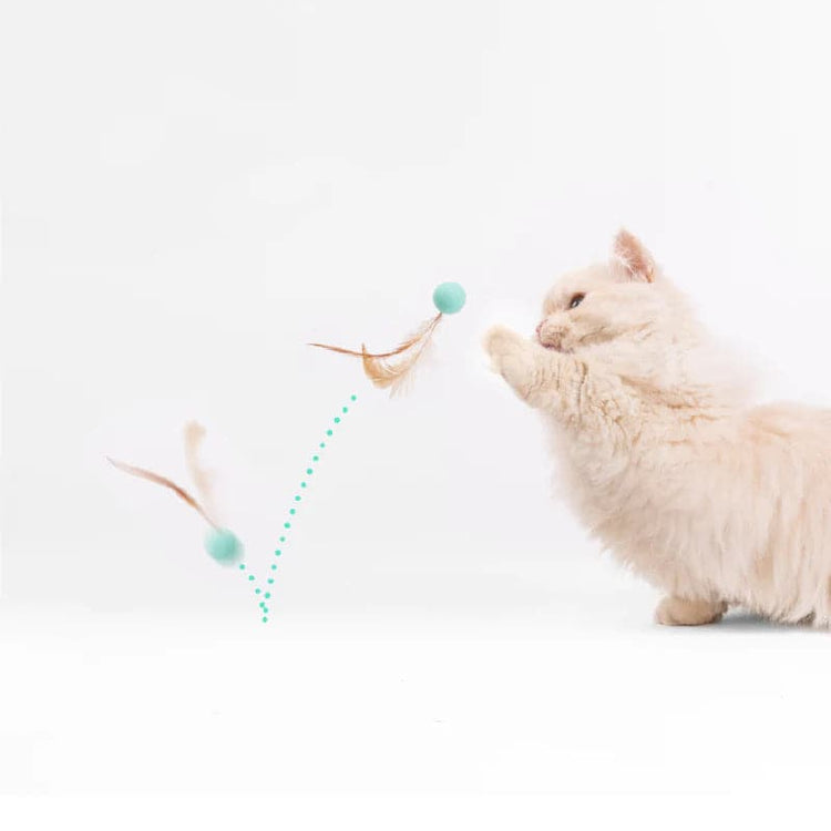 Cat Toy - Bouncy Balls