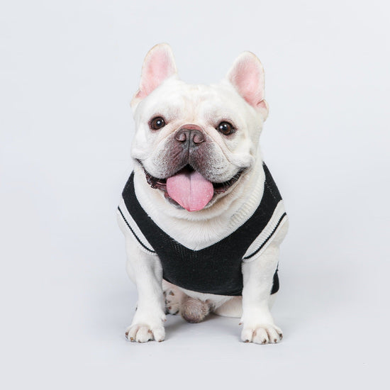 Pet Knitted sports vest