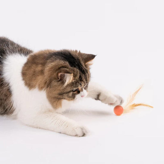 Cat Toy - Bouncy Balls