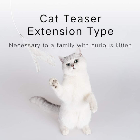 Cat Teaser Wand Cat Toys