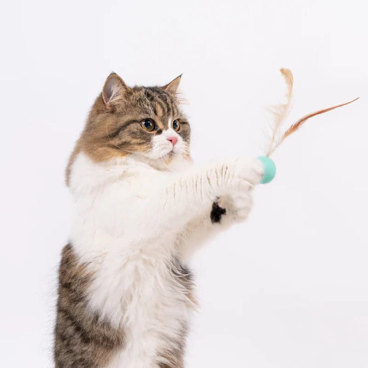 Cat Toy - Bouncy Balls