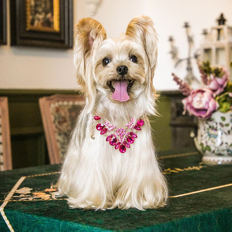 Pet Diamond Necklace