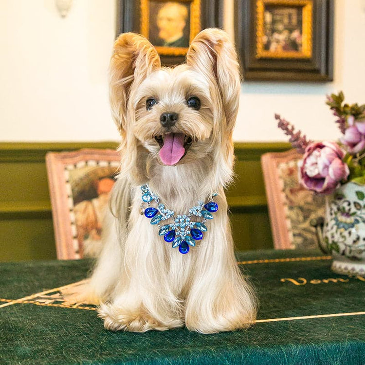 Pet Diamond Necklace