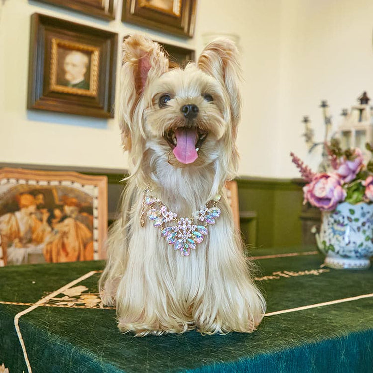 Pet Diamond Necklace