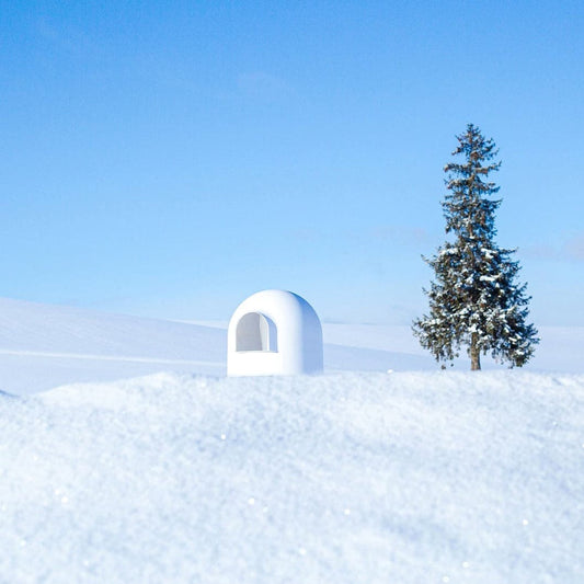 Igloo Cat Litter Box