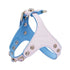 Two-Color Dog Harness