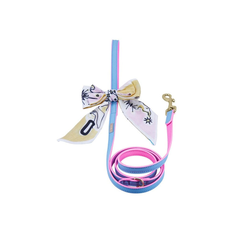 Two-Color Dog Leash