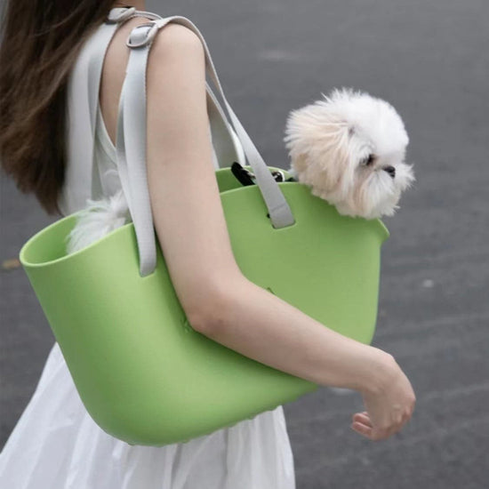 Green Comfortable Pet Travel Bag