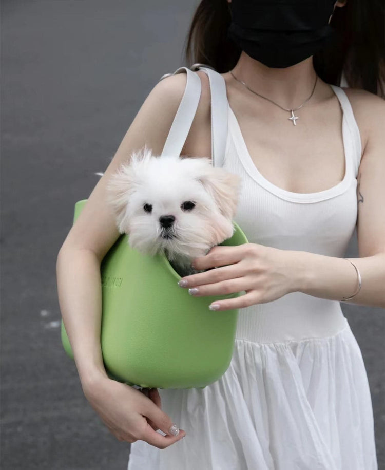 Green Comfortable Pet Travel Bag