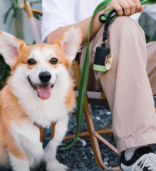 Biodegradable pet poop bags