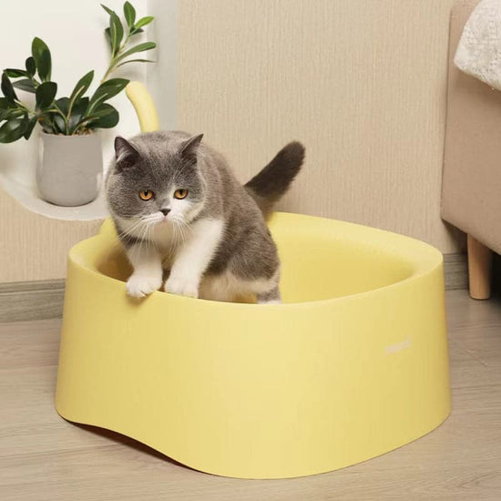 Meoof Cat Litter Box