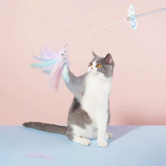 Cat Unicorn Fairty Teaser