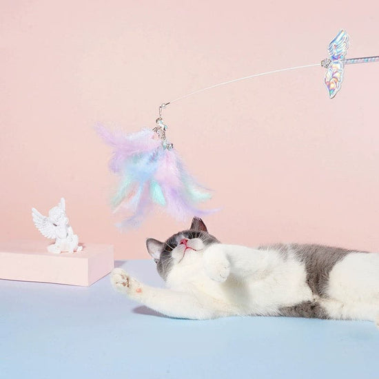 Cat Unicorn Fairty Teaser