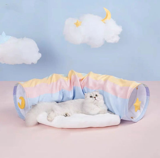 Pet Rainbow Tunnel Bed