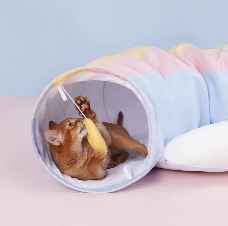 Pet Rainbow Tunnel Bed