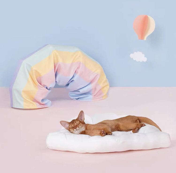 Pet Rainbow Tunnel Bed