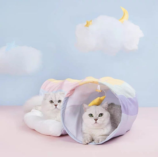 Pet Rainbow Tunnel Bed