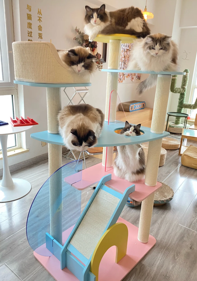 modern cat furniture